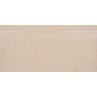 12" x 24" Step Tile (6a08)