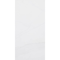 12" x 24" Wall Tile (60581)