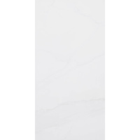 12" x 24" Wall Tile (60581) [Color Codes: 14]