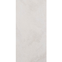 12" x 24" Wall Tile (60588)