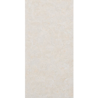  12" x 24" Wall Tile (60438)