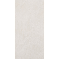 12" x 24" Wall Tile (63148)