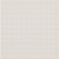 12" x 12" Porcelain Floor Tile (301002)
