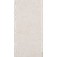 12" x 24" Wall Tile (62037)