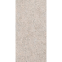 12" x 24" Wall Tile (62038)