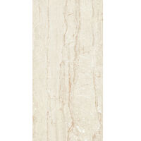 12" x 24" Wall Tile (62211)