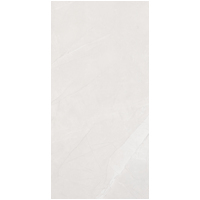 12" x 24" Wall Tile (60679)