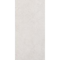 12" x 24" Wall Tile (60647)