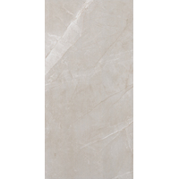 12" x 24" Wall Tile (60680)