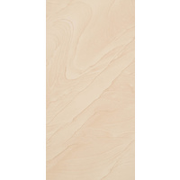 12" x 24" Ceramic Wall Tile (61802)