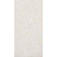 12" x 24" Wall Tile (62915)