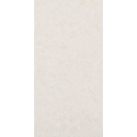 12" x 24" Wall Tile (62921)