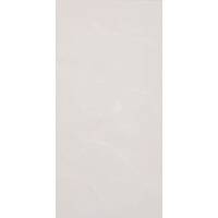 12" x 24" Wall Tile (68105)