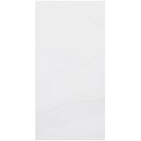 12" x 24" Wall Tile (68153)