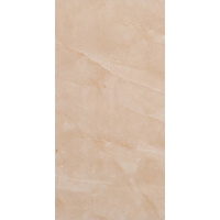 12" x 24" Wall Tile (68106)