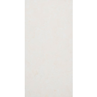 12" x 24"  Wall Tile (60805)