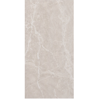 12" x 24" Wall Tile (60857)