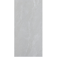 12" x 24" Wall Tile (60872)