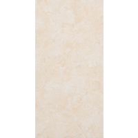 12" x 24" Ceramic Wall Tile (60806)