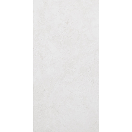 12" x 24" Wall Tile (60589) [Color Codes: 01]