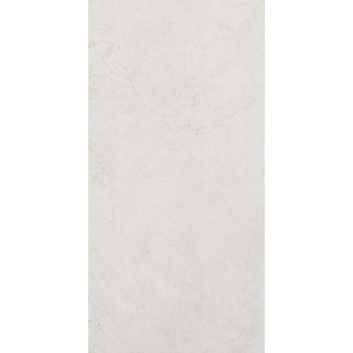 12" x 24" Wall Tile (60647) [Color Codes: t06]